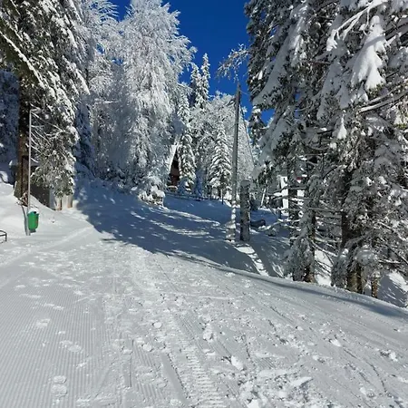 Διαμέρισμα Katarina Τζαχορίνα