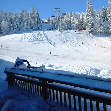 Katarina Τζαχορίνα